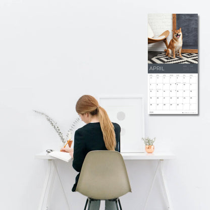 '26 Wall Calendar - Dogs - 18mo