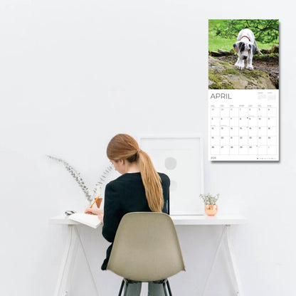 '26 Wall Calendar - Dogs