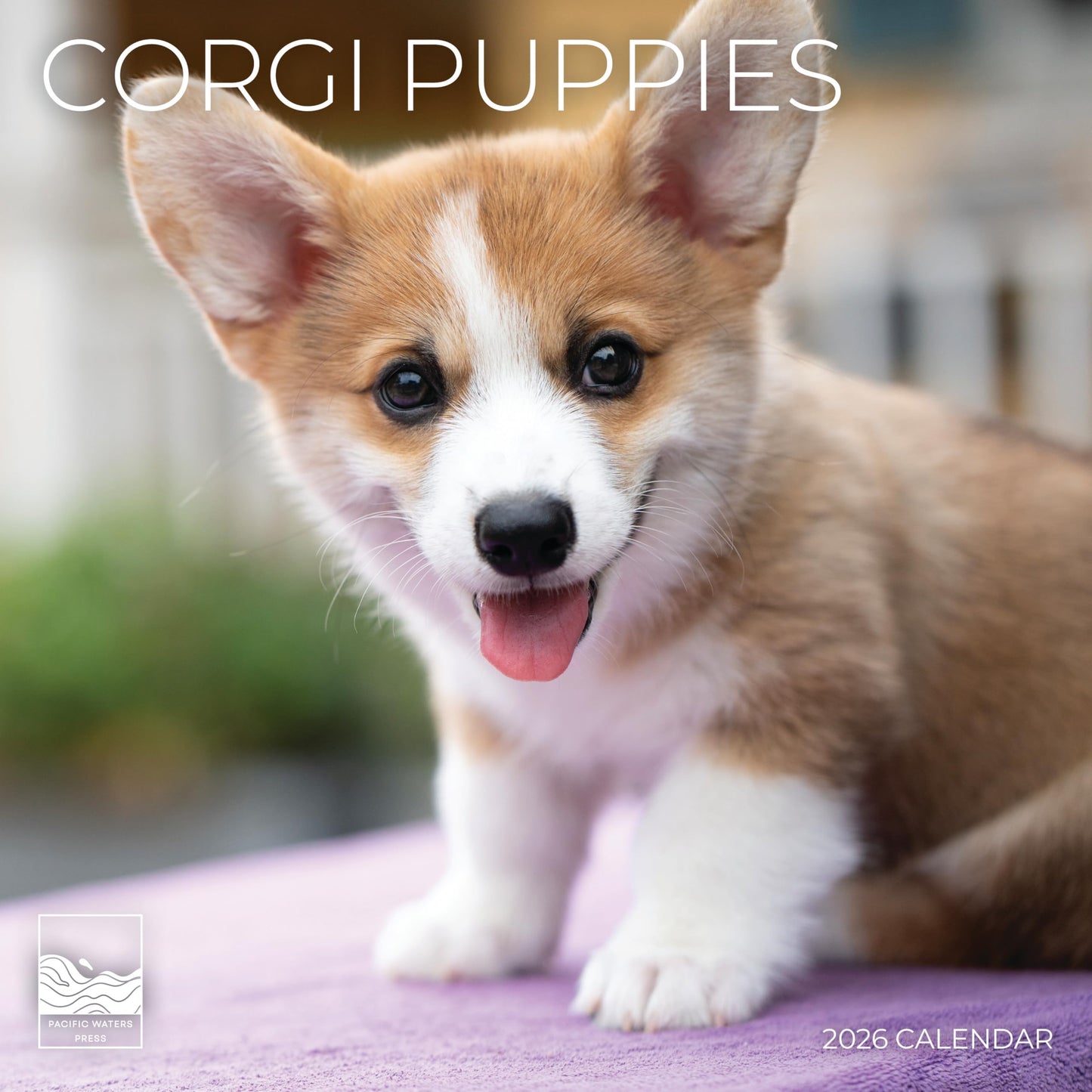 '26 Wall Calendar - Dogs & Puppies