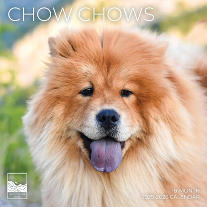 '26 Wall Calendar - Dogs - 18mo