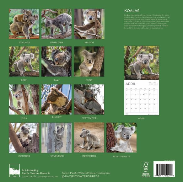 '26 Wall Calendar - Baby Animals