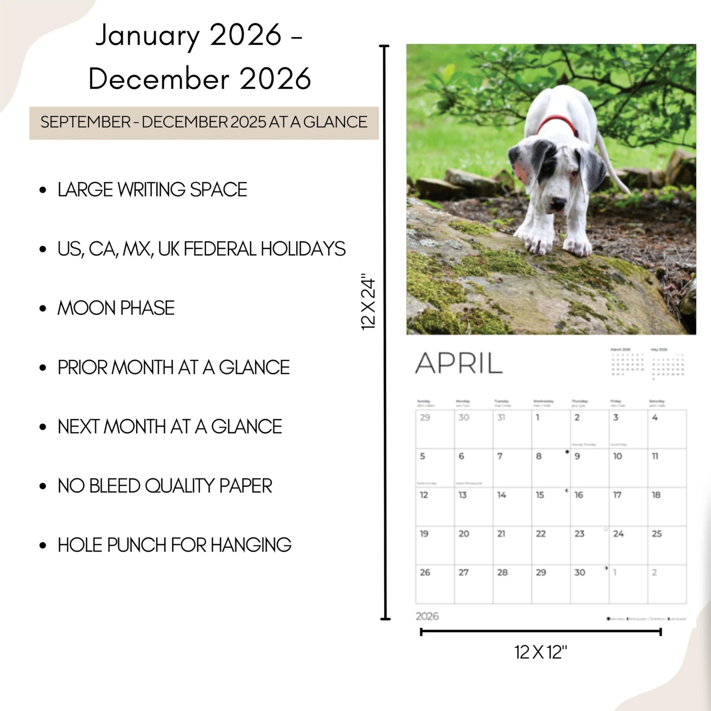 '26 Wall Calendar - Dogs
