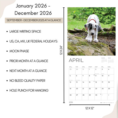 '26 Wall Calendar - Dogs