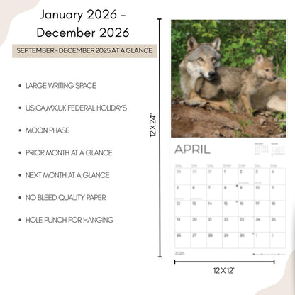 '26 Wall Calendar - Baby Animals