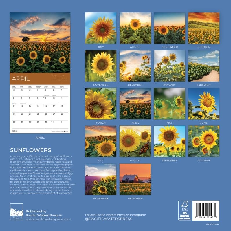 '26 Wall Calendar - Pathways - 18mo