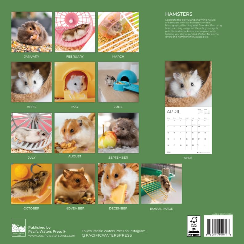 '26 Wall Calendar - Baby Animals