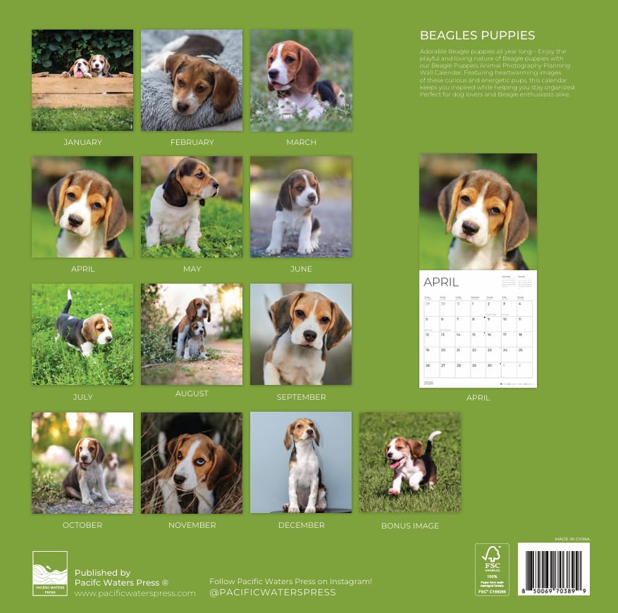 '26 Wall Calendar - Dogs
