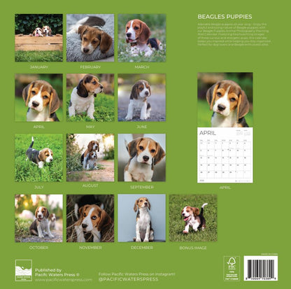 '26 Wall Calendar - Dogs