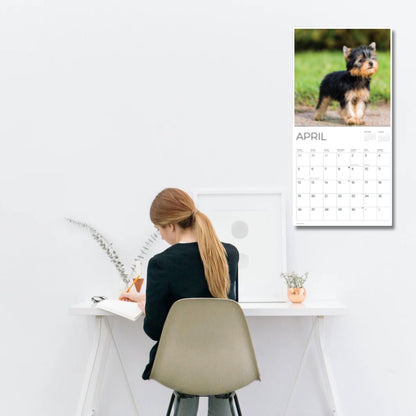 '26 Wall Calendar - Dogs