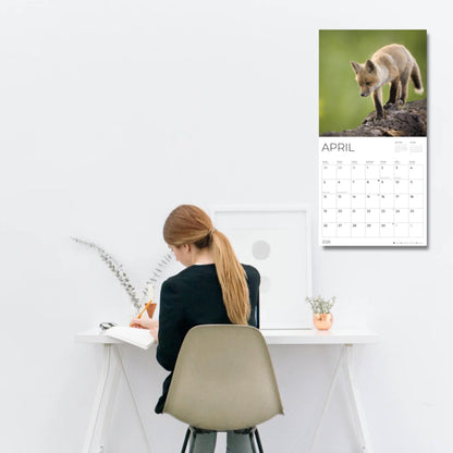 '26 Wall Calendar - Baby Animals