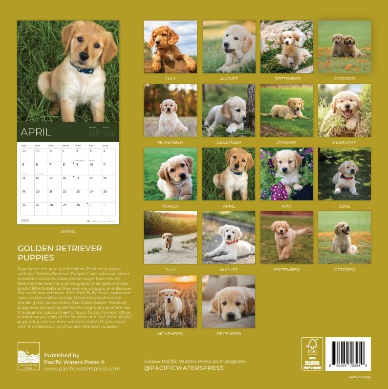'26 Wall Calendar - Dogs - 18mo