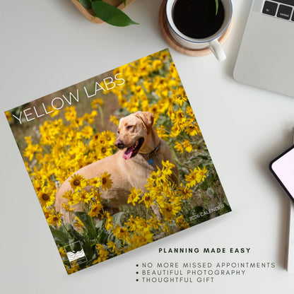 '26 Wall Calendar - Dogs