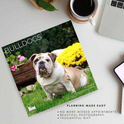 '26 Wall Calendar - Dogs - 18mo