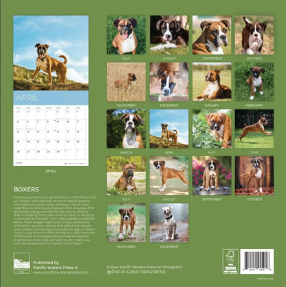 '26 Wall Calendar - Dogs - 18mo
