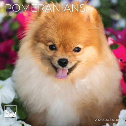 '26 Wall Calendar - Dogs