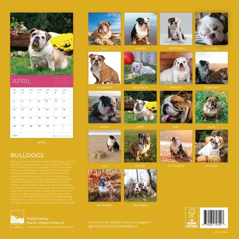 '26 Wall Calendar - Dogs - 18mo