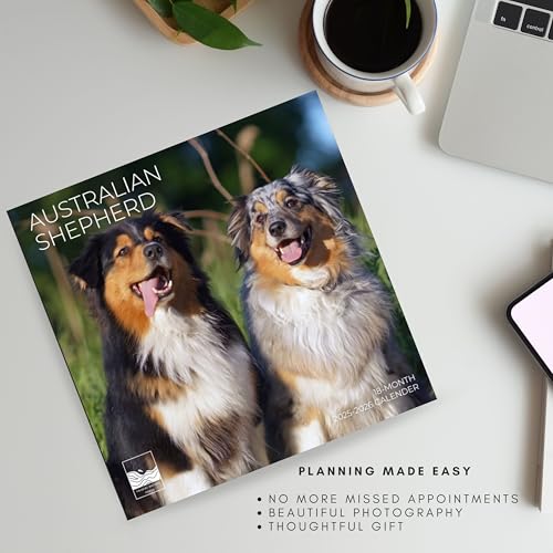 '26 Wall Calendar - Dogs - 18mo