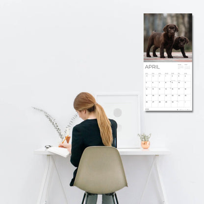 '26 Wall Calendar - Dogs