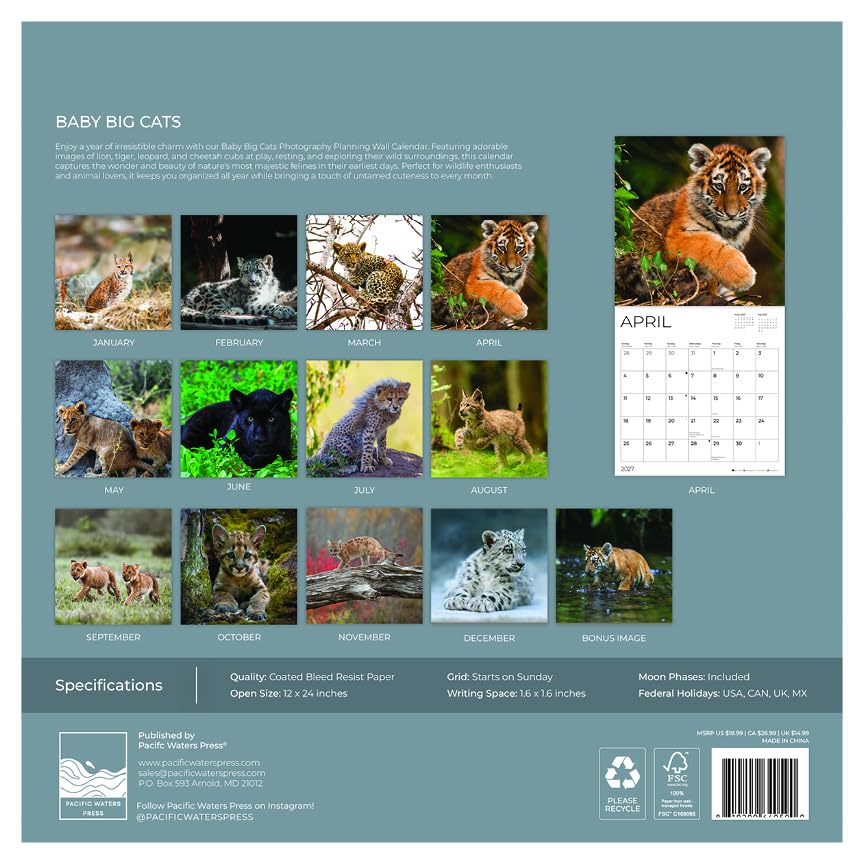 '27 Wall Calendar - Baby Big Cats