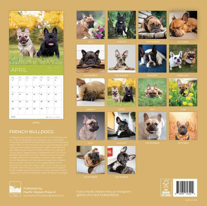 '26 Wall Calendar - Dogs - 18mo
