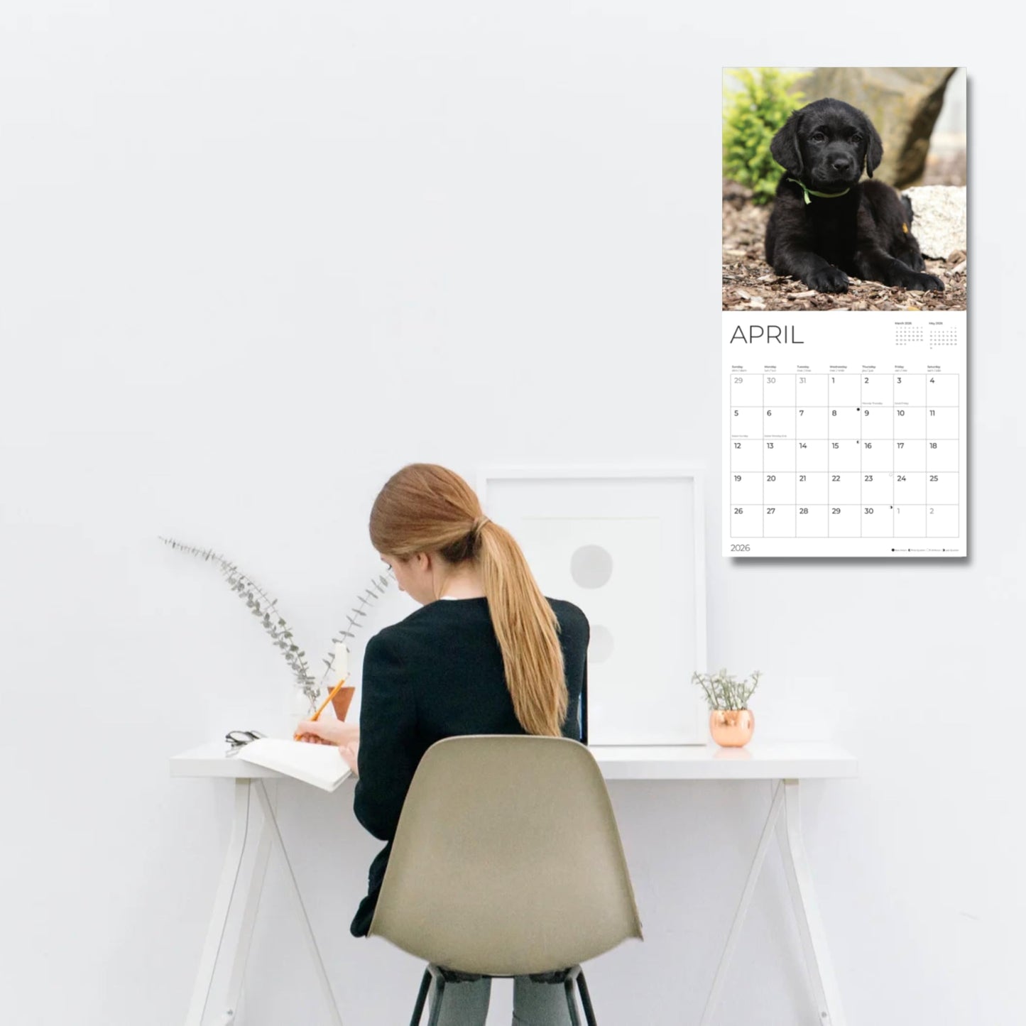 '26 Wall Calendar - Dogs