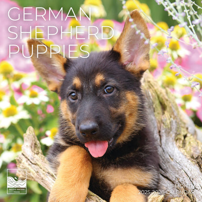 '26 Wall Calendar - Dogs - 18mo