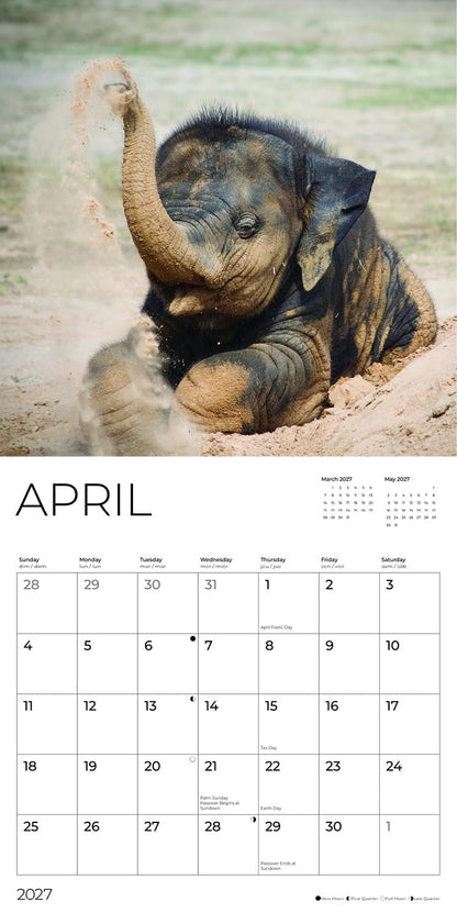 '27 Wall Calendar - Baby Elephants