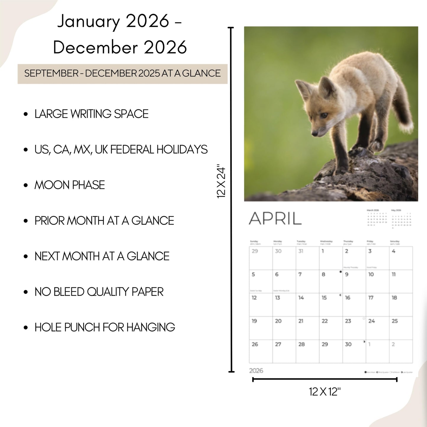 '26 Wall Calendar - Baby Animals