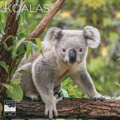 '26 Wall Calendar - Baby Animals