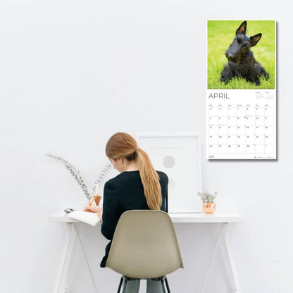 '26 Wall Calendar - Dogs