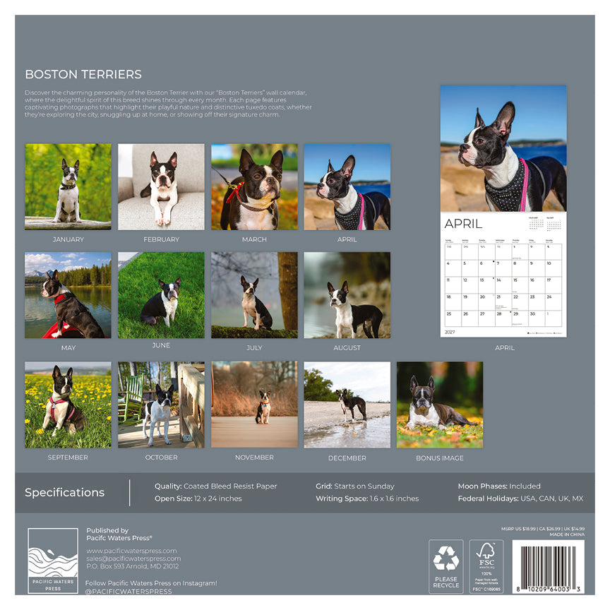 '27 Wall Calendar - Boston Terriers
