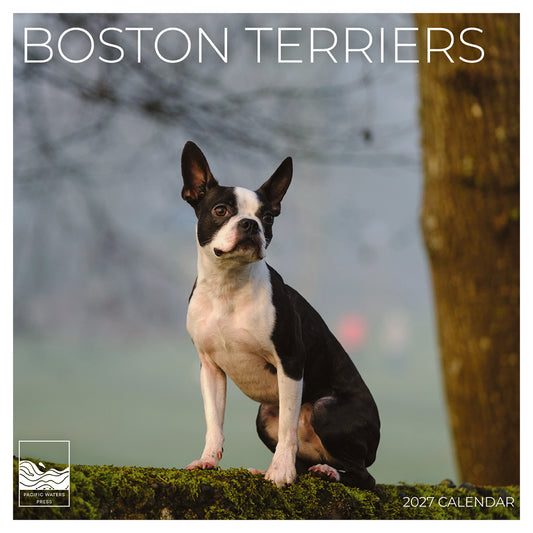 '27 Wall Calendar - Boston Terriers