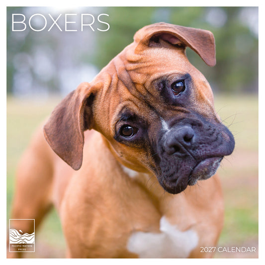 '27 Wall Calendar - Boxers