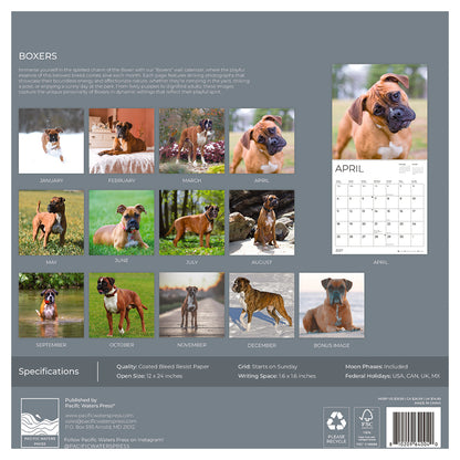 '27 Wall Calendar - Boxers