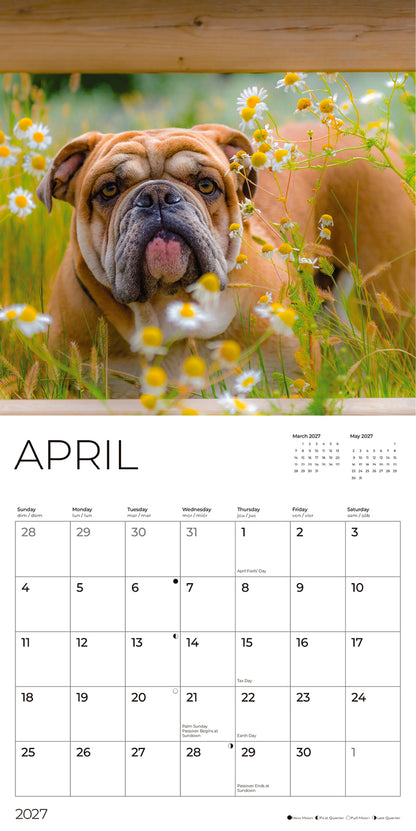 '27 Wall Calendar - Bulldogs