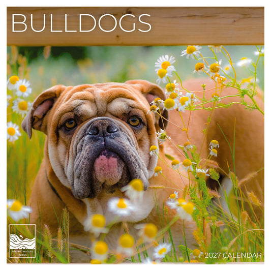 '27 Wall Calendar - Bulldogs