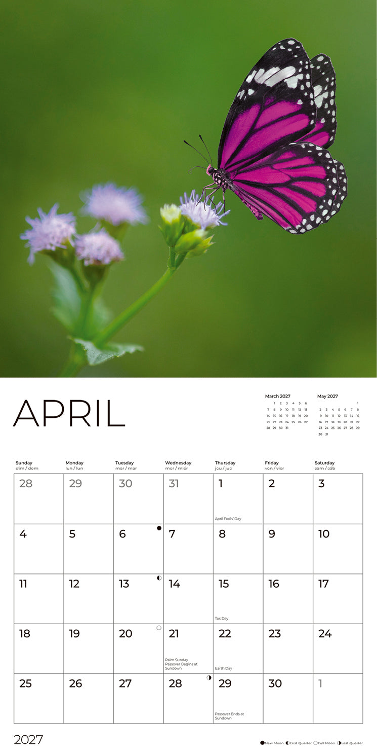 '27 Wall Calendar - Butterflies