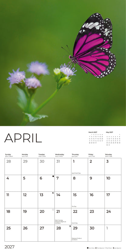 '27 Wall Calendar - Butterflies