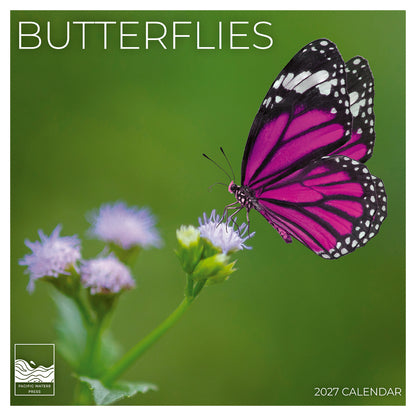 '27 Wall Calendar - Butterflies