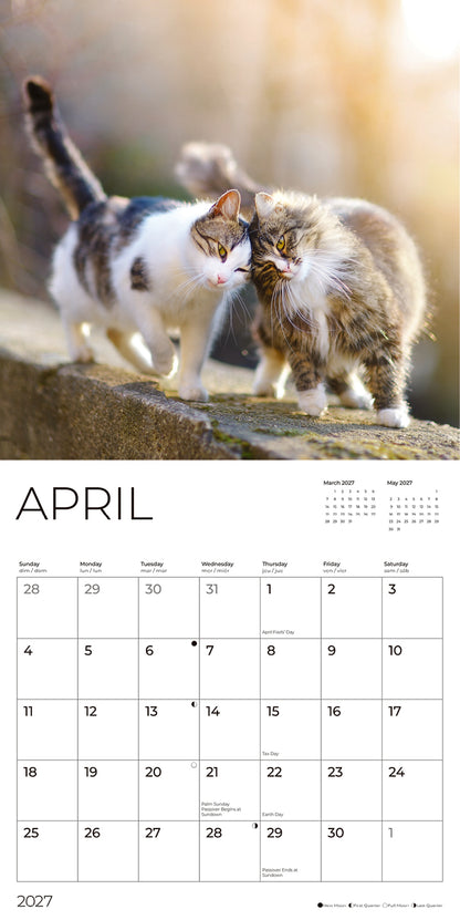 '27 Wall Calendar - Cats