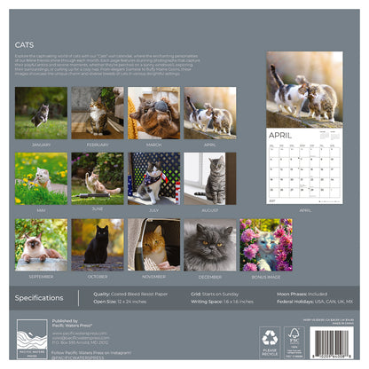'27 Wall Calendar - Cats