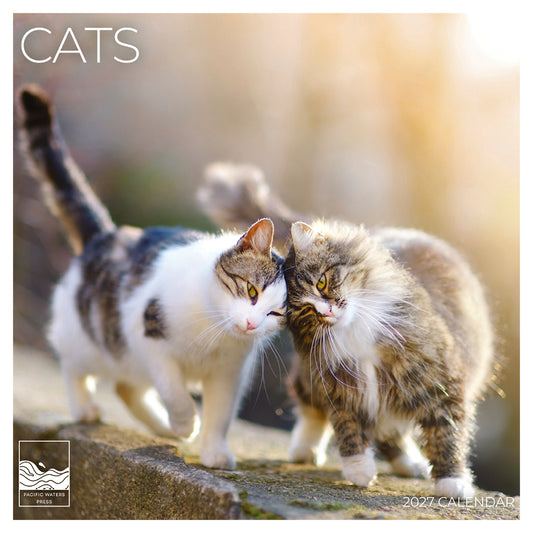 '27 Wall Calendar - Cats