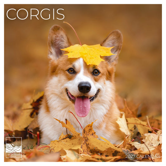 '27 Wall Calendar - Corgis