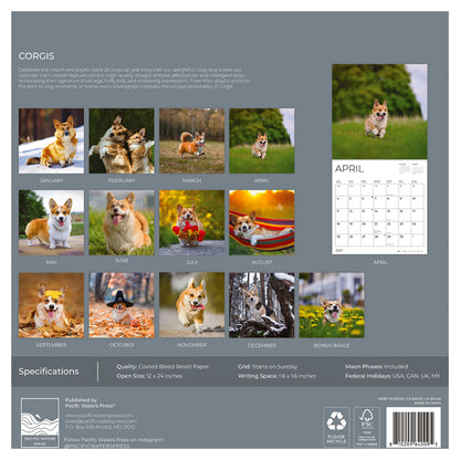 '27 Wall Calendar - Corgis