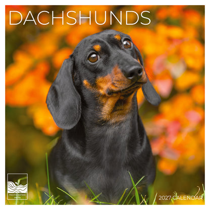 '27 Wall Calendar - Dachshunds