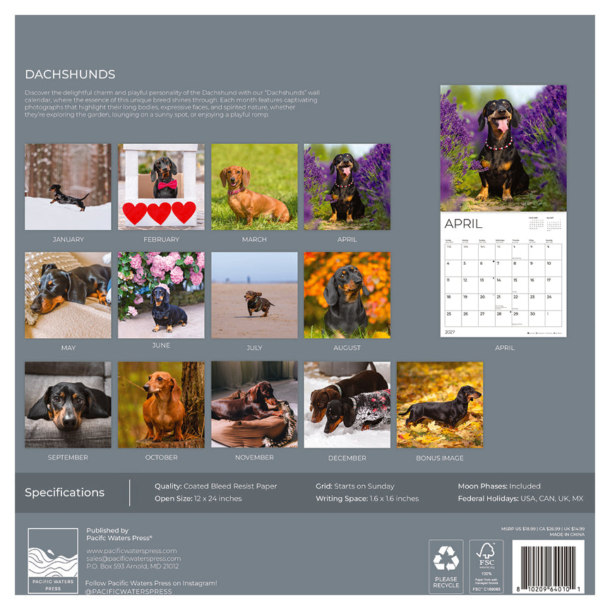 '27 Wall Calendar - Dachshunds