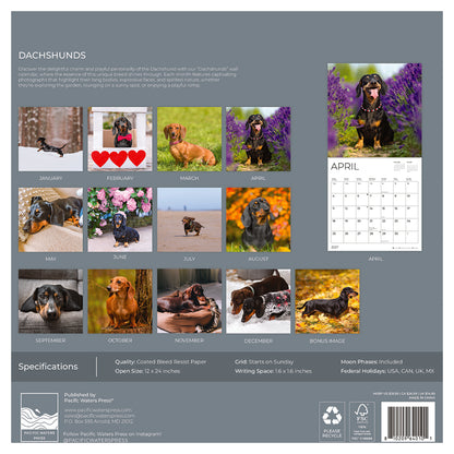 '27 Wall Calendar - Dachshunds