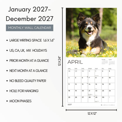 '27 Wall Calendar - Dogs