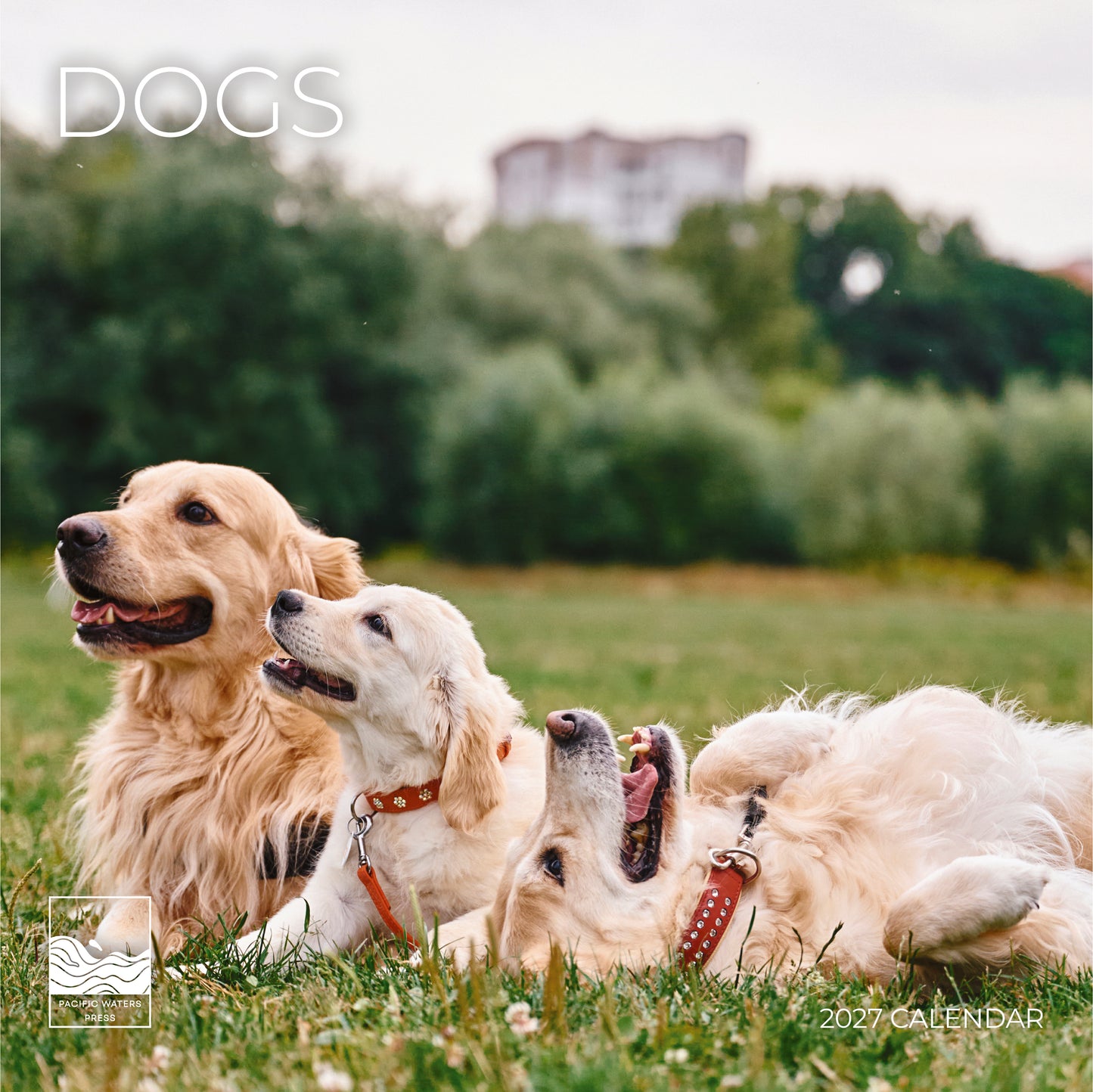'27 Wall Calendar - Dogs