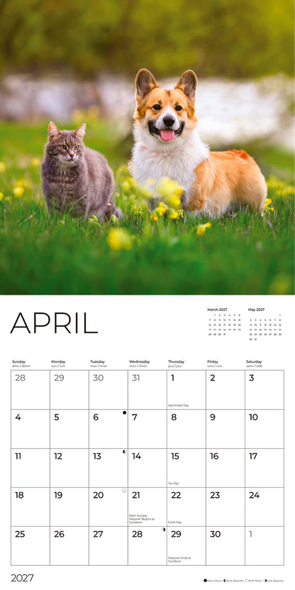 '27 Wall Calendar - Cats and Dogs